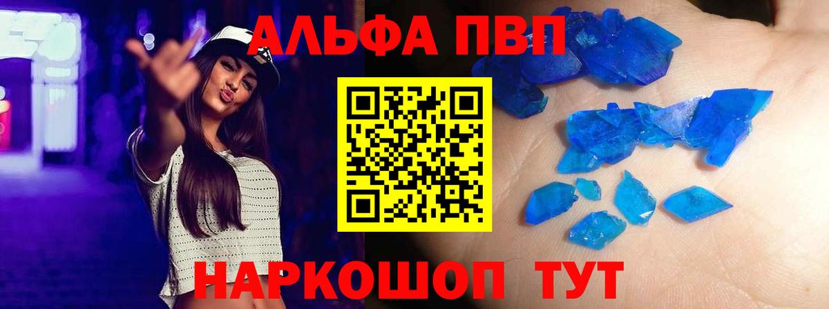 Alfa_PVP СК КРИС Великий Новгород
