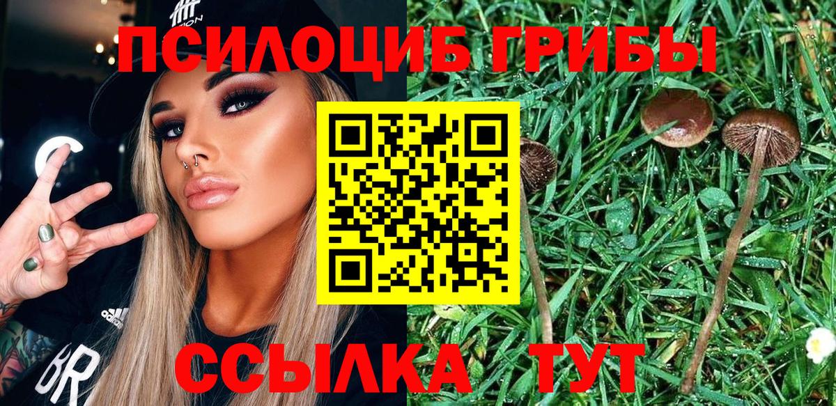 Великий Новгород  Псилоцибиновые грибы GOLDEN TEACHER  Псилоцибиновые грибы ЛСД  Вход с VPN 