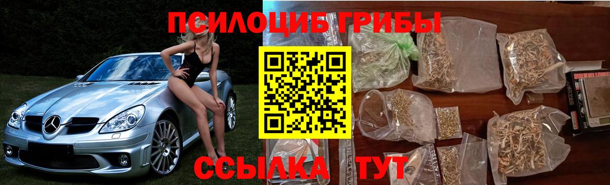 Псилоцибиновые грибы ЛСД Великий Новгород